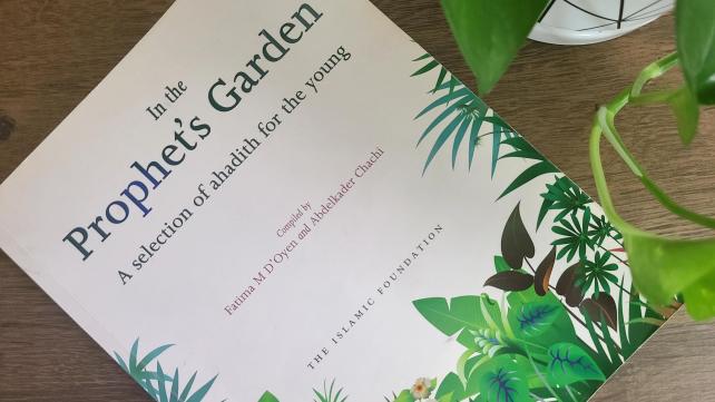 A book on a table Description automatically generated