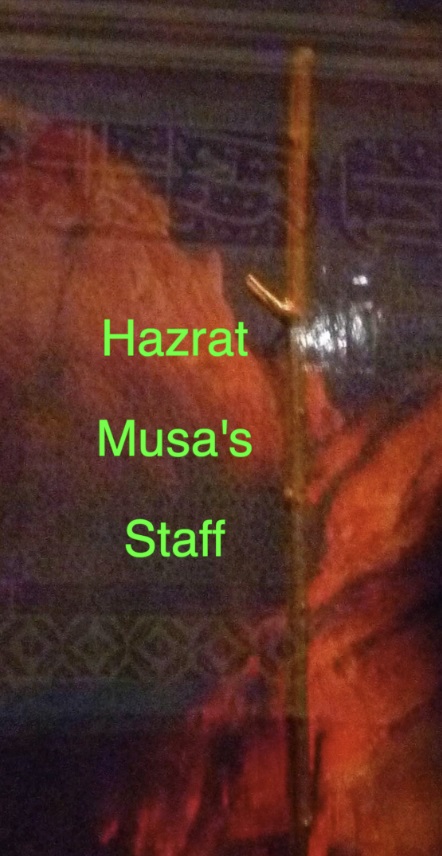 A close up of a stick Description automatically generated with low confidence