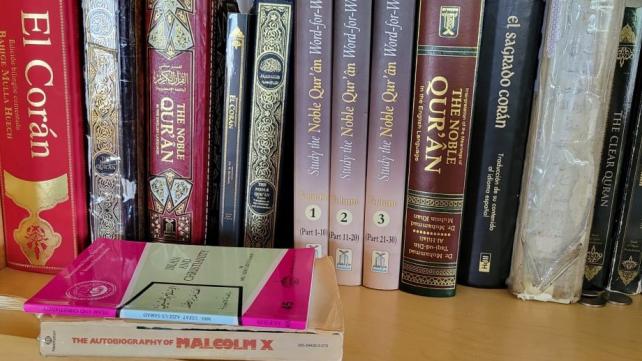 A group of books on a shelf Description automatically generated