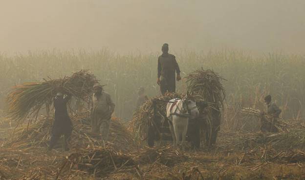 Air pollution cuts average Pakistani life expectancy by 3.9 years &mdash; report