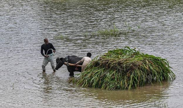 From Pakistan to Europe, climate-hit communities take big polluters to court