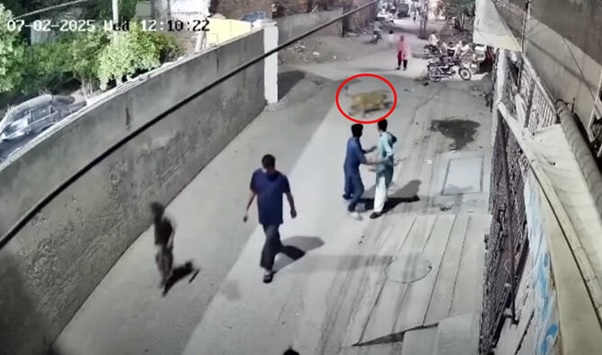 Escaped lion attacks woman and children in Pakistan street