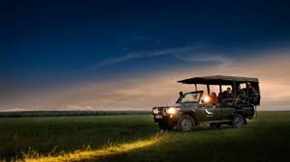 Night Safaris in South Africa ...