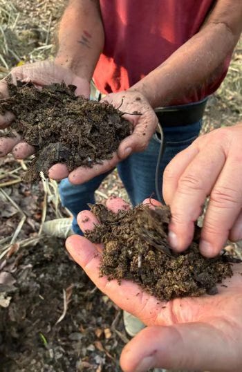Close-up of hands holding dirt  AI-generated content may be incorrect.