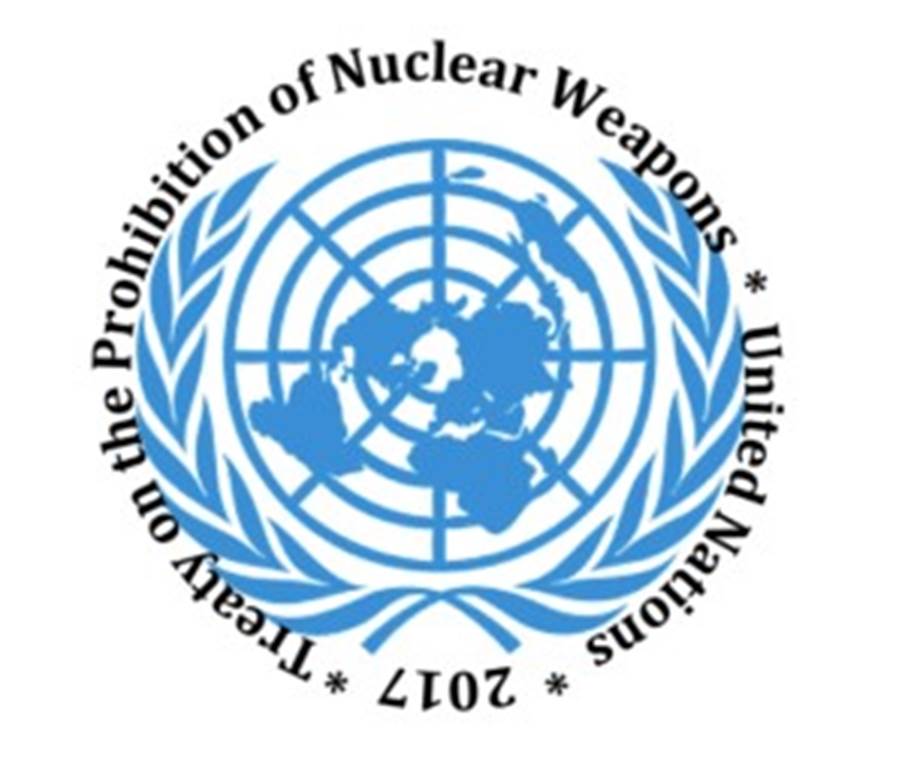 A logo of the united nations Description automatically generated