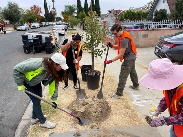 A group of people planting a tree Description automatically generated