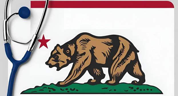 A bear on a flag Description automatically generated