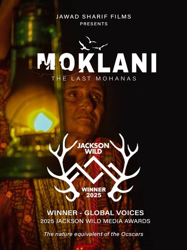 A person in a robe with a lantern  AI-generated content may be incorrect.