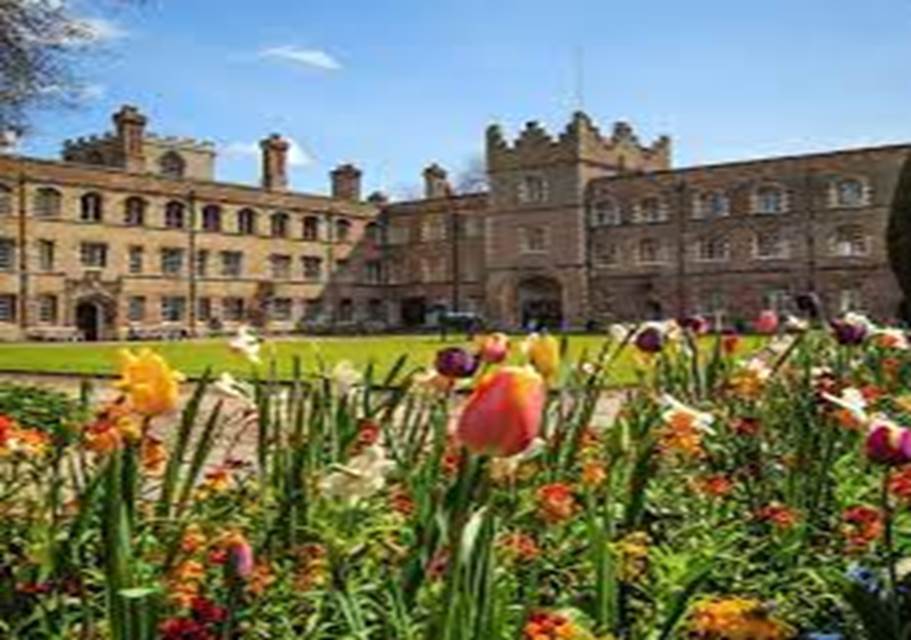 A field of flowers in front of a large building Description automatically generated with medium confidence